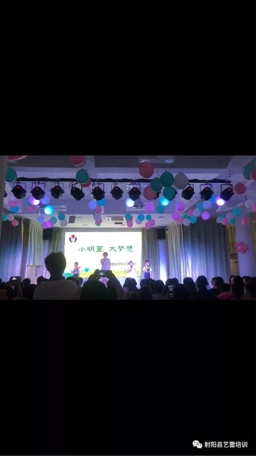 魅力藝?yán)?小明星,大夢想 教學(xué)成果展